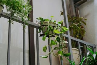 Mochi House NTH - 7
