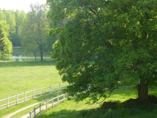 Domaine de Vadancourt - Maissemy - 5
