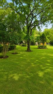 The Meadow House 2BR Farm with Pool & Lawns - 4