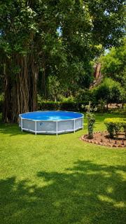 The Meadow House 2BR Farm with Pool & Lawns - 8