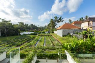 Serenity Ubud by Betterplace - 3