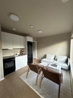 Apartment build in new house - 3