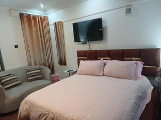 Upper Bukoto Studio Flat - 3