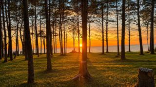 ''Jūras Mala'' - 5