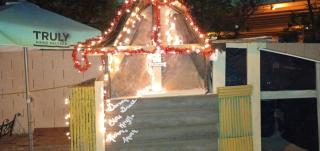 TurtlesShell - 4