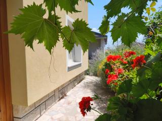 Vila Flori - 1