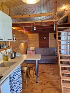 Siedlisko nr 4E i 4F nad jeziorem Skarlińskim, jezioro, mazury, domki letniskowe, bania - 8