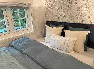 Tinyhouse surrounding Norwegian mountains - 2