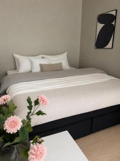Central 4 bedroom apartment - steps from Bryggen - 1