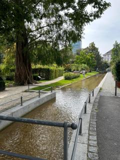 Entire rental unit in - Weinstrasse, Rosenheim City Centre, Germany - 9