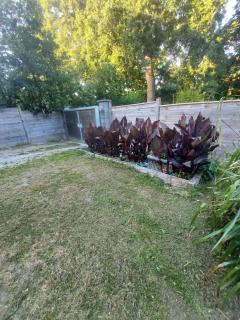 "Chambres d'Hôtes" Bord de Rance Au Rez-de-Jardin de la "Villa Cyrano" - 3