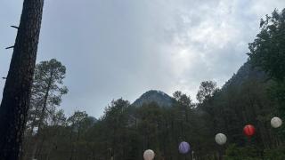 Northbound Kasol - Kasol - 9