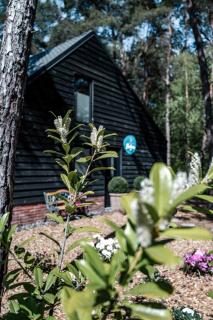 Luxe Spa Lodge - Sauna & Lifestyle - 2