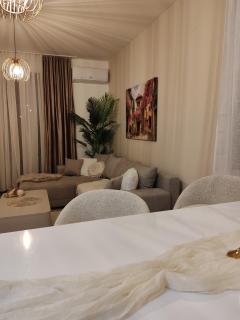 Zlatibor Hills - MoNETTA apartman - 6