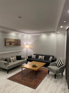 Large Full Apartment Close to Istanbul Airport - 0
