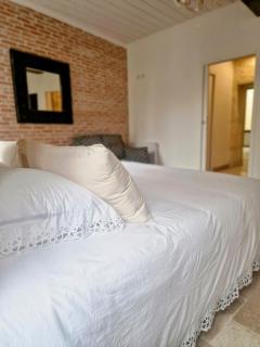 Le 23 Maison Silva - 9
