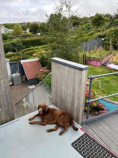 Summercove POD Kinsale - Sea Views You Dream Of - 1