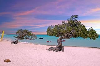 Beachfront - Superior View 2BR condo - E225-2 - 8