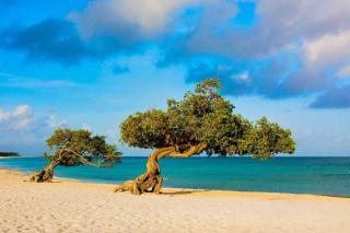 Beachfront - Superior View 2BR condo - E225-2 - 7