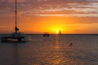 PC517-Pool View-Perfect for families or group-Close to Palm Beach-3BR - 4