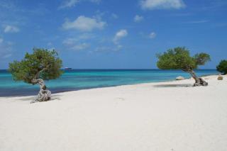 Beachfront - Supreme View 2BR condo - A344 - 8