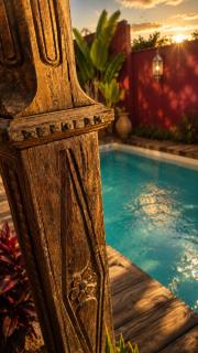 פלא - PELEH -KASHMIR -Quiet place 3 km from caesarea beach - 7