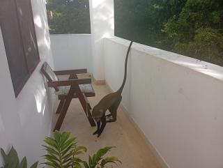 Cozy 1 Bedroom House by the Beach - 5