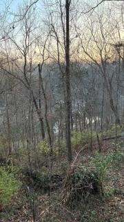 Peaceful Somerset Getaway on Lake Cumberland - 8