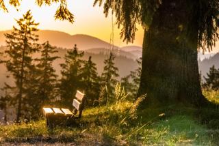 Schwarzwaldhaus Wiesenblick - App "Tannenblick" in Todtmoos - 9