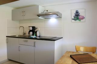 Schwarzwaldhaus Wiesenblick - App "Tannenblick" in Todtmoos - 6