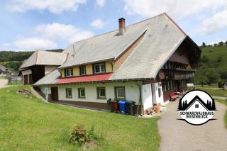 Schwarzwaldhaus Wiesenblick - App "Tannenblick" in Todtmoos - 1
