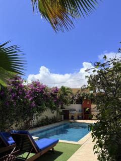 Merlot Villas Aruba private pool from Palm Beach - 8