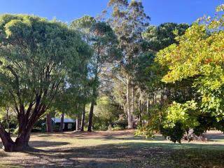 Beautiful nature retreat cottage for 2 guests - 3