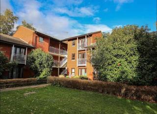 Charming Studio Apartment With Parking! - 1