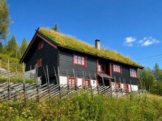 Spacious cabin with beautiful Geilo views - 0