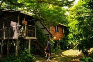 Unique Private Tree Top Cottage in Tropical Garden, Near San Ignacio Town - 0