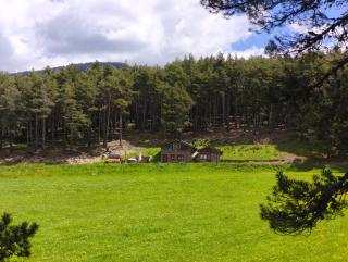 Borda Cucut-HUT4-08181 - 9