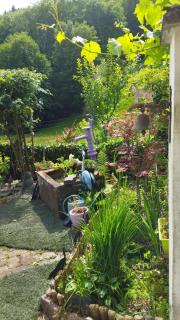 Tiny House cosy, jardin romantique forestier, route du vin, sentiers - 6