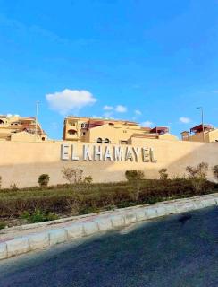 Luxury hotel APT Sheikh Zayed, PVT entrance,garden - 8