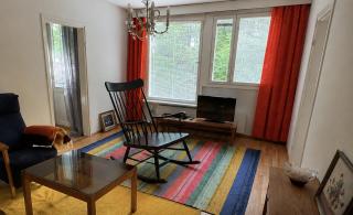 Specious 2 bedroom apartment near to Mikkeli-gardens and center - 1