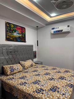 Furnished Apartment in Bahria Town Lahore - 3