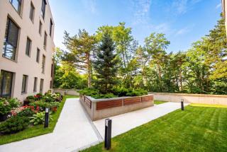 Cozy Forrest-side 2BR walking distance from Old Town - Free Parking & Patio - 6
