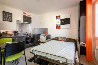 APPARTEMENT CLIMATISé AUX PORTES DE L'AUBRAC - 2