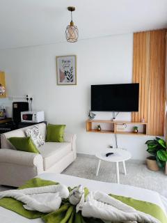 Lynne’s Cozy studio - 0