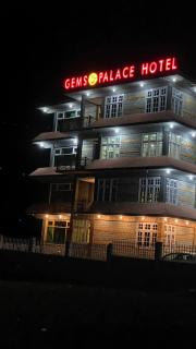 Gems Palace Hotel Naltar - 1