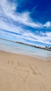 Apartment with private beach at scandic resort - 5