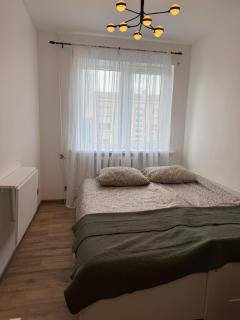 Nordic Nest Apartment - 3