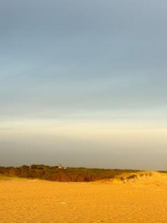Hermosa casa en Punta Rubia, rodeada de naturaleza a solo dos cuadras de la playa - 5