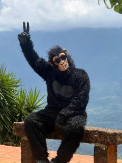 Hostel Trip Monkey Barichara - 4
