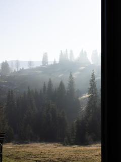 Berloga - 7